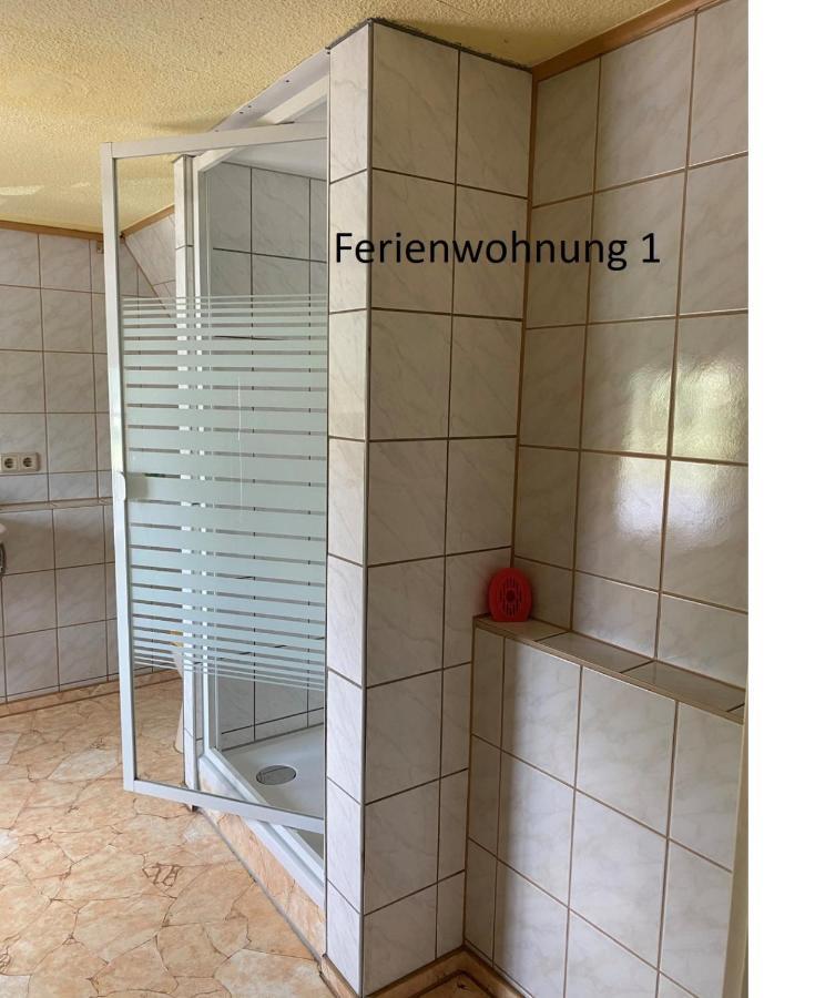 Ferienwohnung Fachwerkhaus دريسدن المظهر الخارجي الصورة